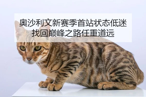 奥沙利文新赛季首站状态低迷 找回巅峰之路任重道远