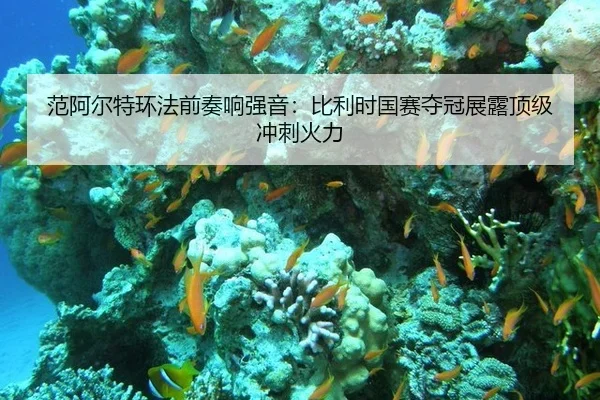 fan-a-er-te-huan-fa-qian-zou-xiang-qiang-yin-bi-li-shi-guo-sai-duo-guan-zhan-lu-ding-ji-chong-ci-huo-li-2-937.jpg