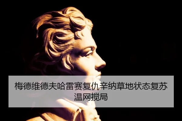 梅德维德夫哈雷赛复仇辛纳草地状态复苏温网搅局
